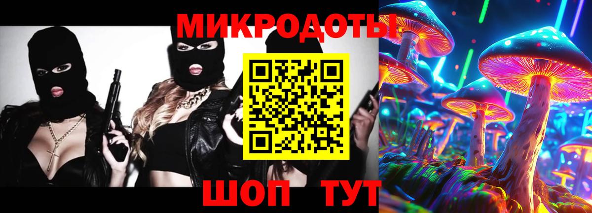 где найти   Галлюциногенные грибы Psilocybine cubensis  Вход с VPN  Можайск 